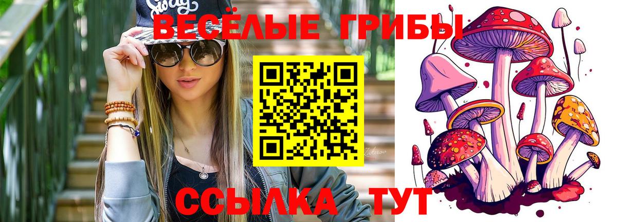 Кемерово  Галлюциногенные грибы ЛСД  наркошоп  Псилоцибиновые грибы GOLDEN TEACHER  Вход с VPN 